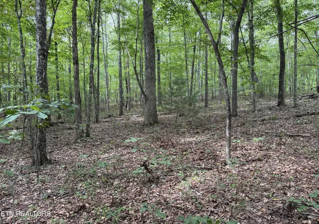 Photo 3 of Land for sale at Wildcat Rd, Jamestown, TN 38556 | MLS# 1356125 | Listing updated on 2026-09-19