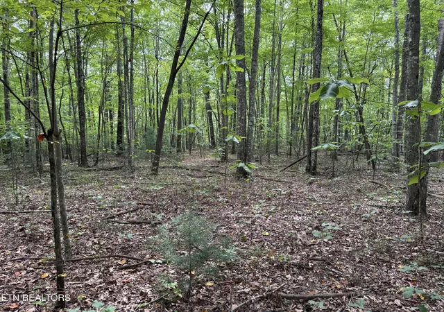 Photo 4 of Land for sale at Wildcat Rd, Jamestown, TN 38556 | MLS# 1356125 | Listing updated on 2026-09-19