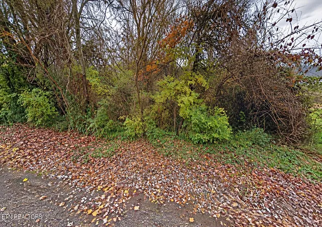 Land for sale at 1105 Maryland Ave, Knoxville, TN 37921 | MLS# 1356155