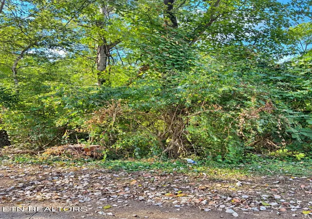 Photo 3 of Land for sale at 1105 Maryland Ave, Knoxville, TN 37921 | MLS# 1356155 | Listing updated on 2026-09-20
