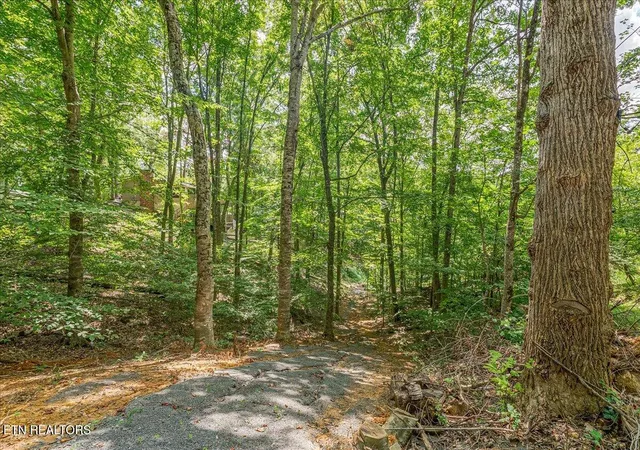 Photo 4 of Land for sale at 1901 Bootbluff Tr, Dandridge, TN 37725 | MLS# 1356371 | Listing updated on 2026-09-22