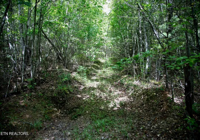 Photo 2 of Sale Pending at 160 John Cox Rd, Deer Lodge, TN 37726 | MLS# 1356253 | Listing updated on 2026-10-08