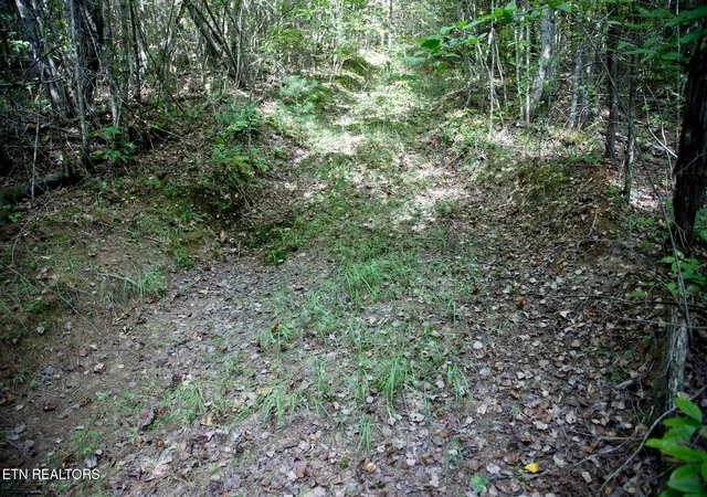 Photo 4 of Sale Pending at 160 John Cox Rd, Deer Lodge, TN 37726 | MLS# 1356253 | Listing updated on 2026-10-08