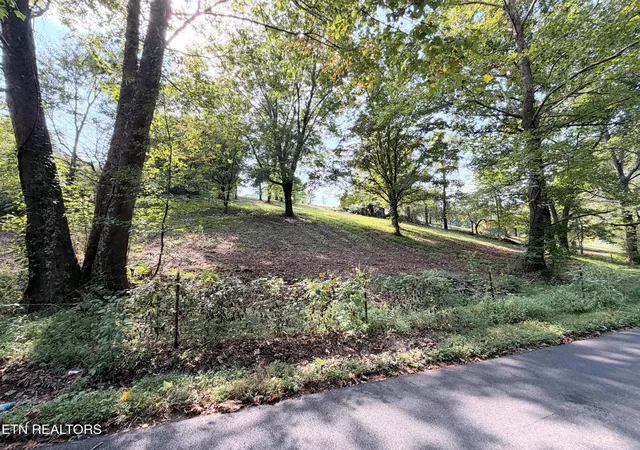 Photo 22 of Single family home for sale at 196 Pine Crst Dr, Maynardville, TN 37807 | MLS# 1356175 | Listing updated on 2026-10-05