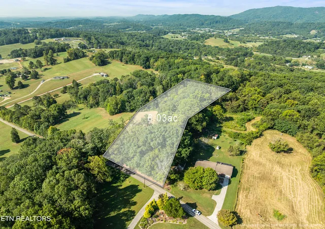 Land for sale at 3951 Strong Rd, Mascot, TN 37806 | MLS# 1356275