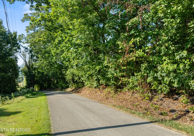 Photo 3 of Land for sale at 3951 Strong Rd, Mascot, TN 37806 | MLS# 1356275 | Listing updated on 2026-09-24