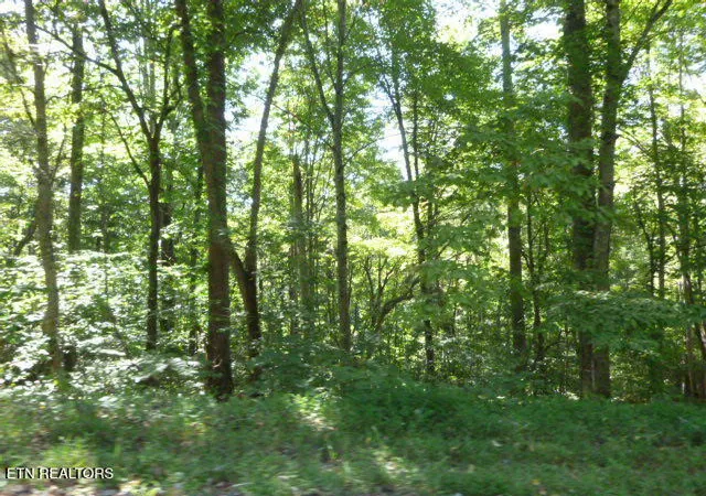 Photo 3 of Land for sale at Bankston Ln #129A A 061.00, La Follette, TN 37766 | MLS# 1356247 | Listing updated on 2026-10-09