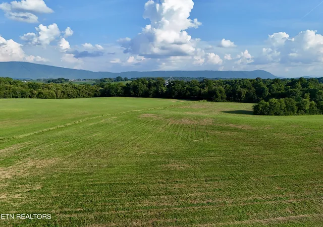Photo 2 of Land for sale at Dentville Rd, Delano, TN 37325 | MLS# 1356225 | Listing updated on 2026-09-21