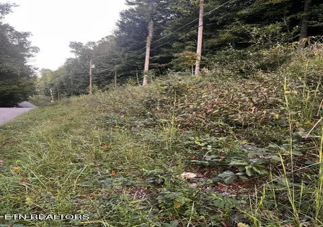 Photo 2 of Land for sale at Yoakum Holw Rd, Jacksboro, TN 37757 | MLS# 1356277 | Listing updated on 2026-09-22