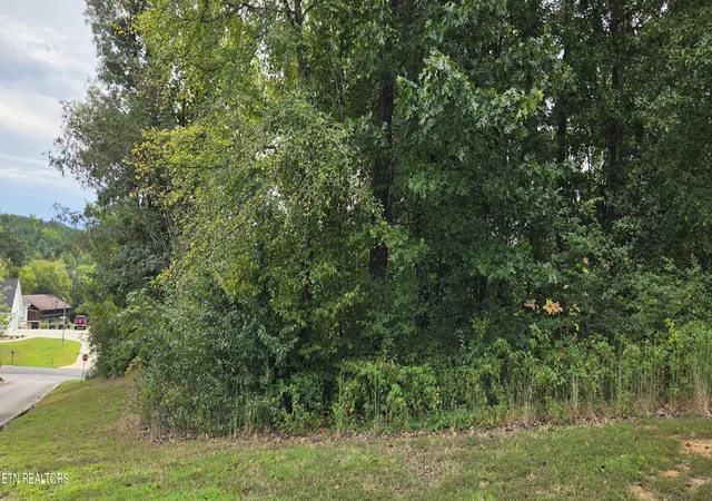 Photo 1 of Land for sale at Lot 1 Sugar Maple Ct, Madisonville, TN 37354 | MLS# 1356413 | Listing updated on 2026-09-22