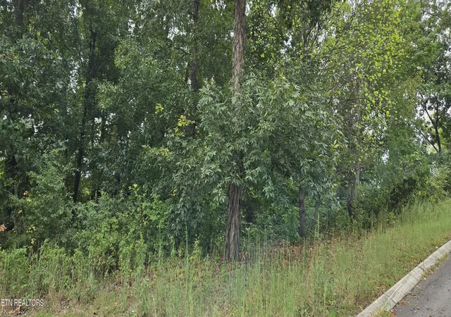 Photo 3 of Land for sale at Lot 1 Sugar Maple Ct, Madisonville, TN 37354 | MLS# 1356413 | Listing updated on 2026-09-22