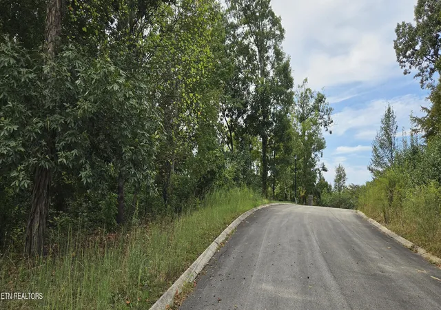 Photo 3 of Land for sale at Lot 1 Sugar Maple Ct, Madisonville, TN 37354 | MLS# 1356413 | Listing updated on 2026-09-22