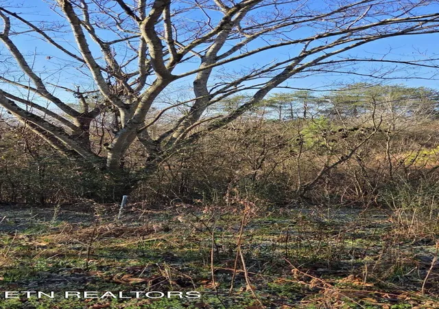 Photo 4 of Land for sale at Lot 1 Sugar Maple Ct, Madisonville, TN 37354 | MLS# 1356413 | Listing updated on 2026-09-22