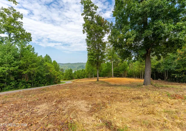 Photo 4 of Land for sale at Hickory Point Ln, Maynardville, TN 37807 | MLS# 1356472 | Listing updated on 2026-09-23