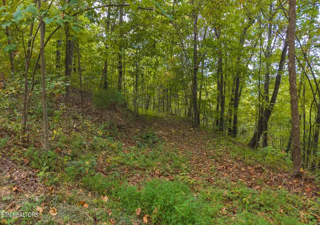 Photo 4 of Land for sale at 170 Fire Tower Rd, Mooresburg, TN 37811 | MLS# 1356355 | Listing updated on 2026-09-22