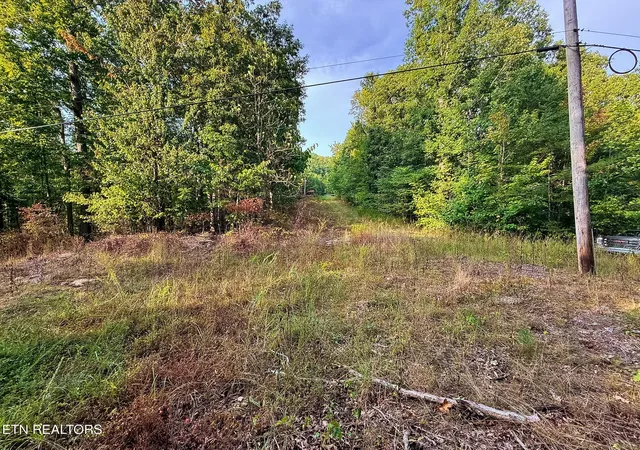 Photo 3 of Land for sale at 1521 Mill Crk Rd, Sunbright, TN 37872 | MLS# 1356562 | Listing updated on 2026-09-25