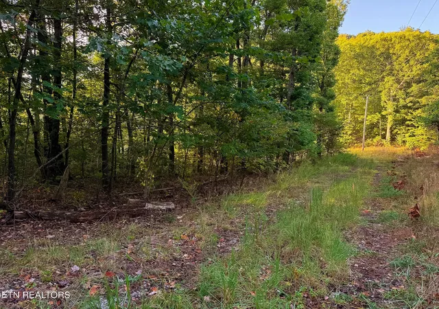 Photo 3 of Land for sale at 1521 Mill Crk Rd, Sunbright, TN 37872 | MLS# 1356562 | Listing updated on 2026-09-25