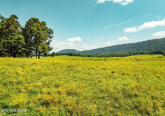 Photo 2 of Land for sale at White Oak Cir Rd, Sunbright, TN 37872 | MLS# 1356377 | Listing updated on 2026-09-22