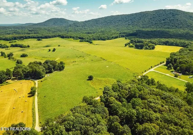 Photo 3 of Land for sale at White Oak Cir Rd, Sunbright, TN 37872 | MLS# 1356377 | Listing updated on 2026-09-22