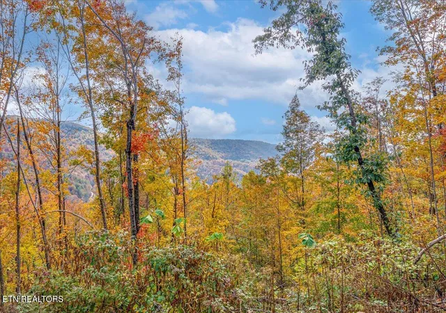 Photo 1 of Land for sale at Lot O Buffalo Rd, Oneida, TN 37841 | MLS# 1356547 | Listing updated on 2026-09-24