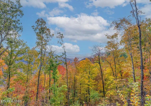 Photo 3 of Land for sale at Lot O Buffalo Rd, Oneida, TN 37841 | MLS# 1356547 | Listing updated on 2026-09-24