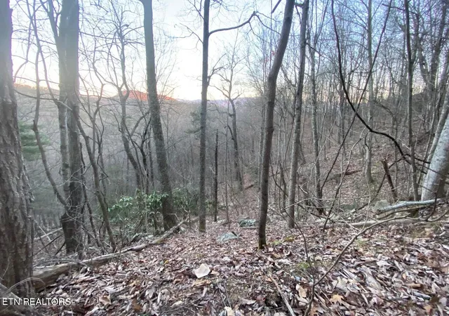 Land for sale at Lot 36 Elderberry Dr, Sevierville, TN 37876 | MLS# 1356496