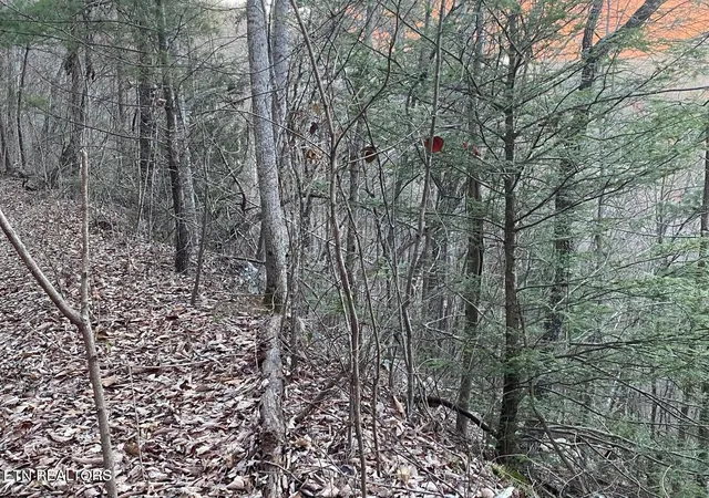 Photo 1 of Land for sale at Lot 36 Elderberry Dr, Sevierville, TN 37876 | MLS# 1356496 | Listing updated on 2026-09-23