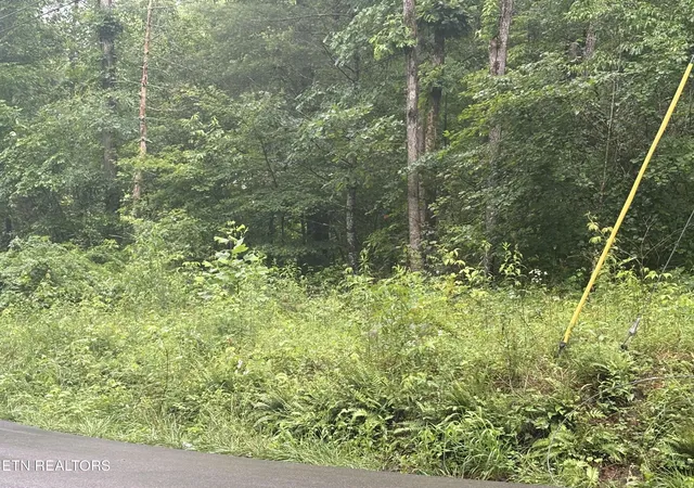 Photo 1 of Land for sale at Brown Crk Dr, Crossville, TN 38571 | MLS# 1356490 | Listing updated on 2026-09-23