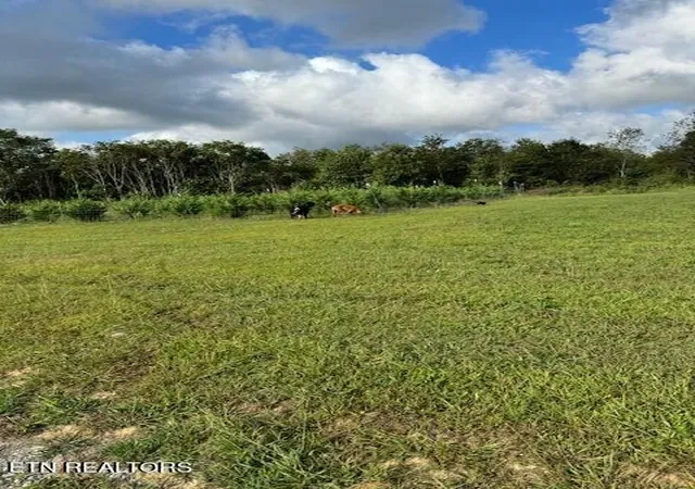 Land for sale at 127 Rushing Springs Rd, Monterey, TN 38574 | MLS# 1356501