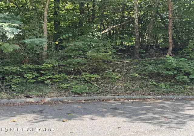 Land for sale at S B Ogle Ln, Sevierville, TN 37876 | MLS# 1356760