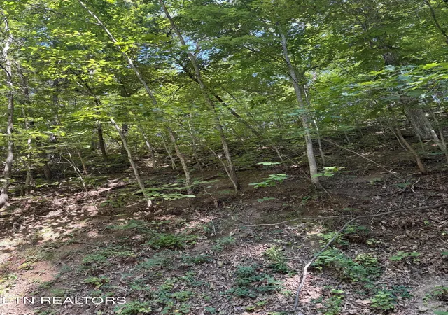 Photo 2 of Land for sale at S B Ogle Ln, Sevierville, TN 37876 | MLS# 1356760 | Listing updated on 2026-09-25