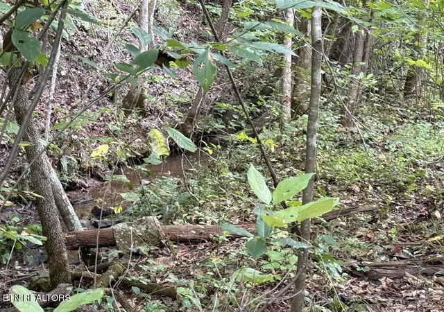 Photo 3 of Land for sale at Lot 13 14 Speedwell Chuch Rd, Bulls Gap, TN 37711 | MLS# 1356553 | Listing updated on 2026-09-25