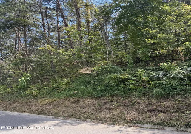 Land for sale at S B Ogle, Sevierville, TN 37876 | MLS# 1356756