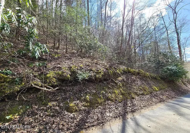 Photo 2 of Land for sale at 0 Butler Branch Rd, Gatlinburg, TN 37738 | MLS# 1356578 | Listing updated on 2026-09-24