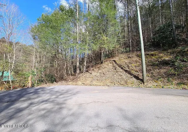 Photo 3 of Land for sale at 0 Butler Branch Rd, Gatlinburg, TN 37738 | MLS# 1356578 | Listing updated on 2026-09-24