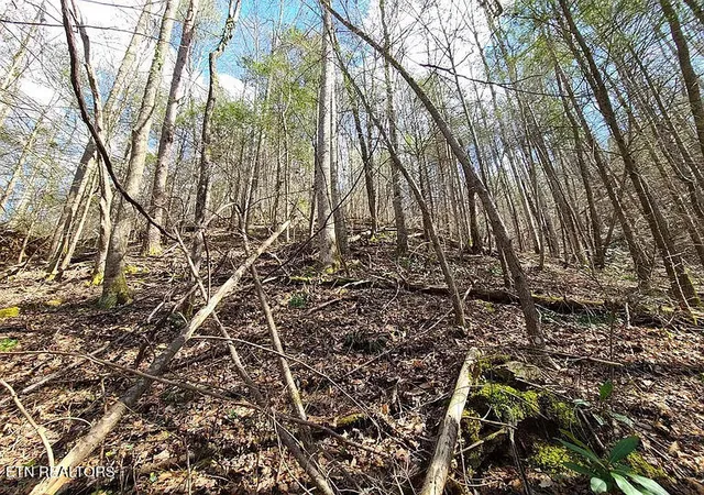 Photo 4 of Land for sale at 0 Butler Branch Rd, Gatlinburg, TN 37738 | MLS# 1356578 | Listing updated on 2026-09-24