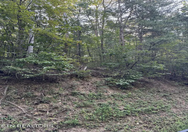 Photo 1 of Land for sale at Progess Hl Dr Blvd, Pigeon Forge, TN 37863 | MLS# 1356747 | Listing updated on 2026-09-25