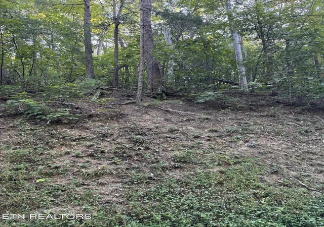 Photo 2 of Land for sale at Progess Hl Dr Blvd, Pigeon Forge, TN 37863 | MLS# 1356747 | Listing updated on 2026-09-25