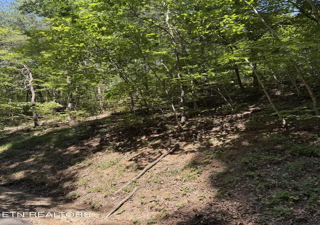 Photo 2 of Land for sale at Progress Hl, Pigeon Forge, TN 37863 | MLS# 1356755 | Listing updated on 2026-09-25