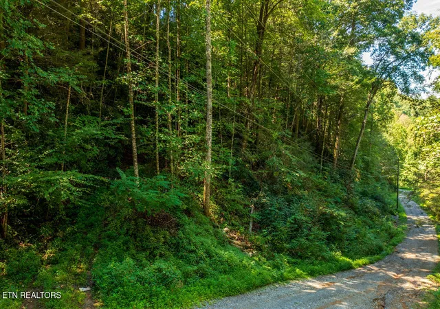 Photo 2 of Land for sale at 0 Yellow Breeches Rd, Cosby, TN 37722 | MLS# 1356790 | Listing updated on 2026-09-25