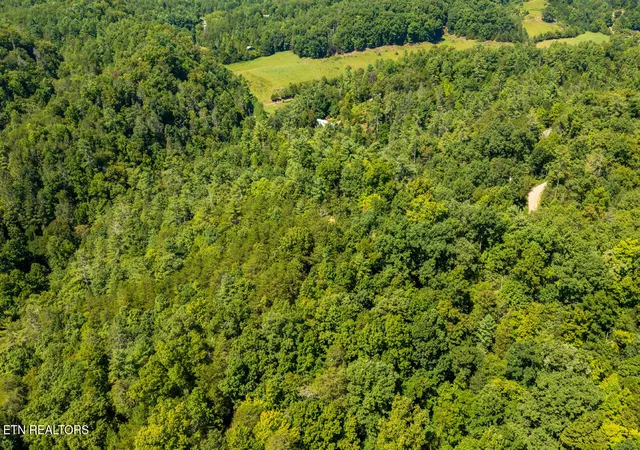 Photo 3 of Land for sale at 0 Yellow Breeches Rd, Cosby, TN 37722 | MLS# 1356790 | Listing updated on 2026-09-25