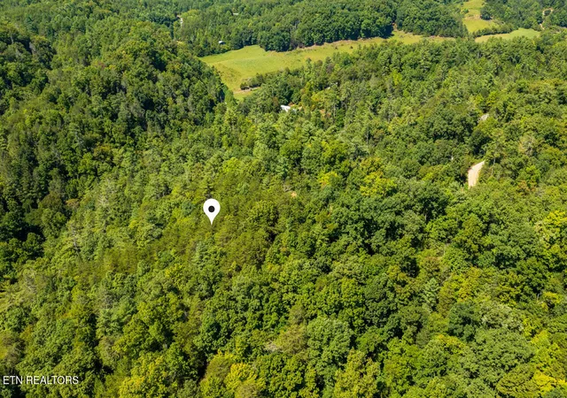 Photo 3 of Land for sale at 0 Yellow Breeches Rd, Cosby, TN 37722 | MLS# 1356790 | Listing updated on 2026-09-25