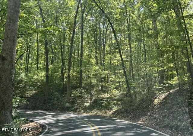 Photo 3 of Land for sale at 132 Casson Rd, Ocoee, TN 37361 | MLS# 1356670 | Listing updated on 2026-10-03