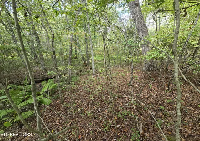 Photo 2 of Land for sale at 4027 Desoto Dr, Crossville, TN 38572 | MLS# 1356685 | Listing updated on 2026-09-24