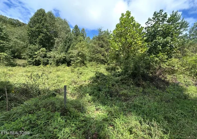 Photo 1 of Land for sale at Tbd Hubbard Springs Rd, Jonesville, VA 24263 | MLS# 1356700 | Listing updated on 2026-09-25