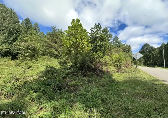 Photo 3 of Land for sale at Tbd Hubbard Springs Rd, Jonesville, VA 24263 | MLS# 1356700 | Listing updated on 2026-09-25