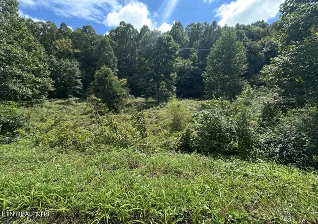 Photo 4 of Land for sale at Tbd Hubbard Springs Rd, Jonesville, VA 24263 | MLS# 1356700 | Listing updated on 2026-09-25