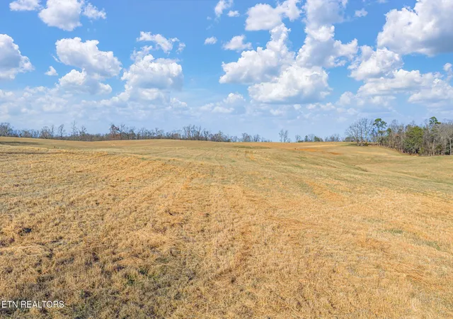 Land for sale at Thorngrove Pike, Strawberry Plains, TN 37871 | MLS# 1356698