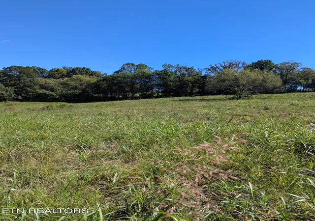 Photo 2 of Land for sale at 10816 Richland Rd #24-89, Mascot, TN 37806 | MLS# 1356817 | Listing updated on 2026-09-25