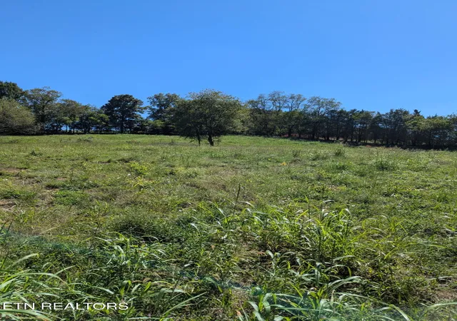 Photo 3 of Land for sale at 10816 Richland Rd #24-89, Mascot, TN 37806 | MLS# 1356817 | Listing updated on 2026-09-25